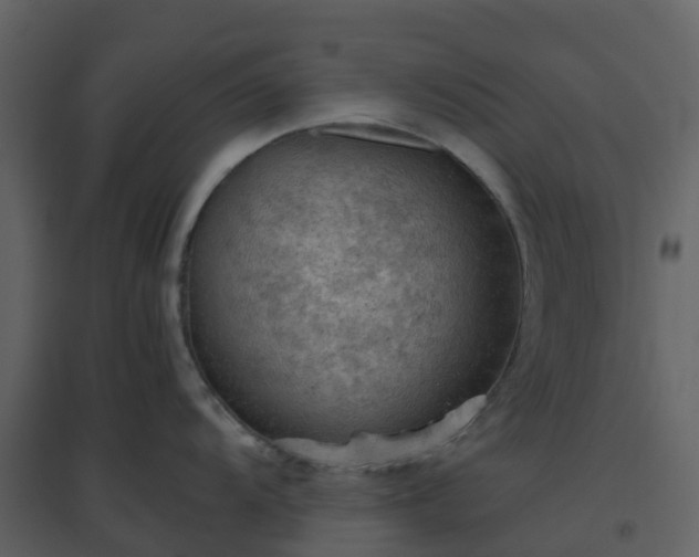 X0000096641104200802121104