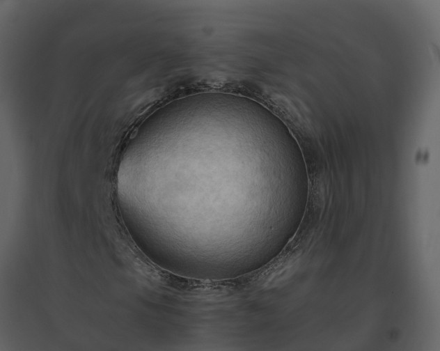X0000096641105200802121103