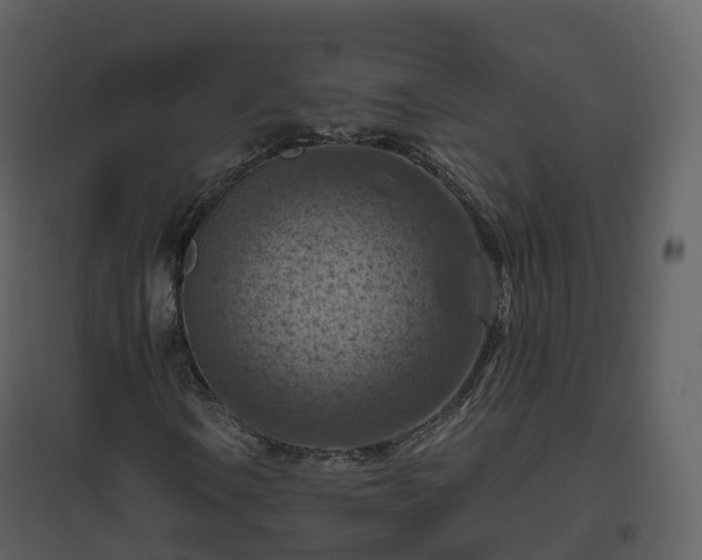 X0000096641106200802121103