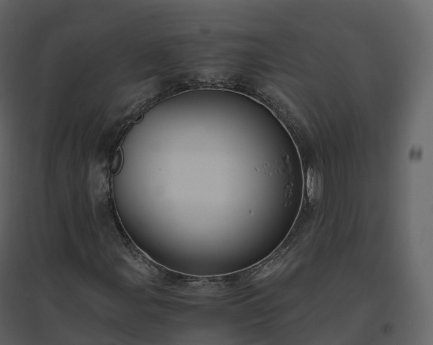 X0000096641107200802121103