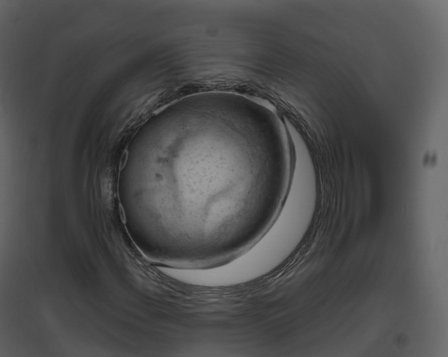X0000096641108200802121103