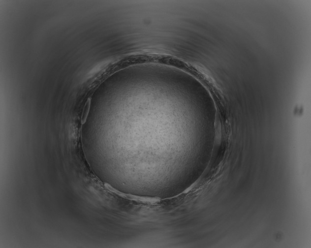 X0000096641110200802121103
