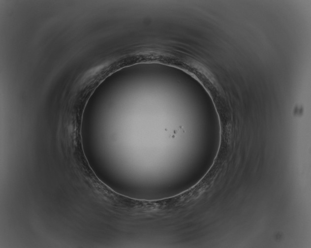 X0000096641111200802121103