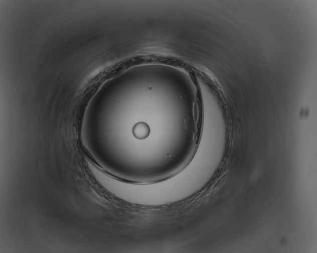 X0000096641112200802121103