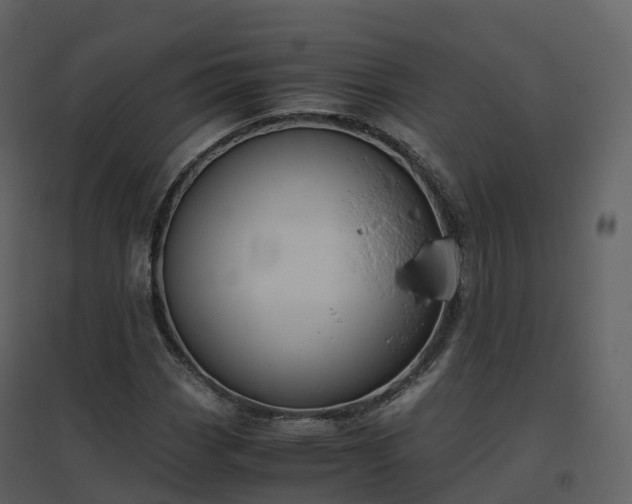 X0000096641113200802121103