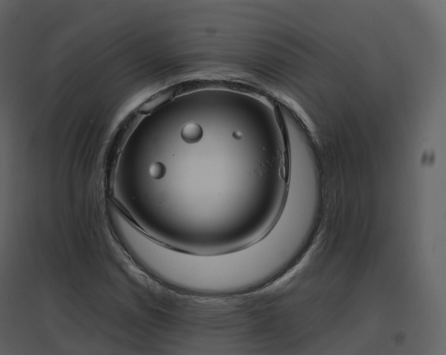 X0000096641114200802121103