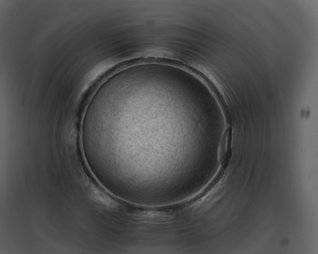 X0000096641115200802121103
