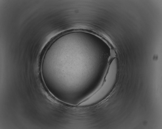 X0000096641116200802121103