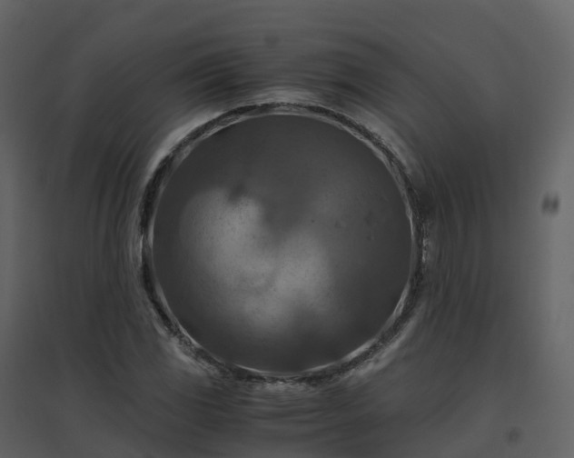 X0000096641117200802121103