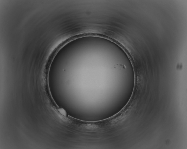 X0000096641119200802121103