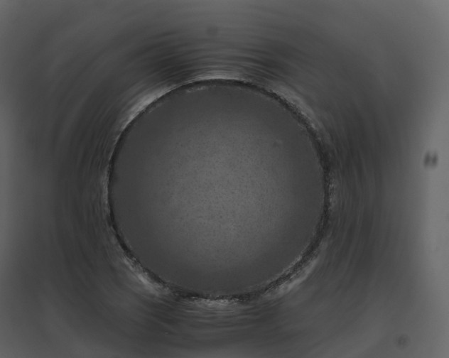 X0000096641121200802121103