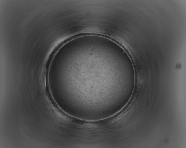 X0000096641123200802121103