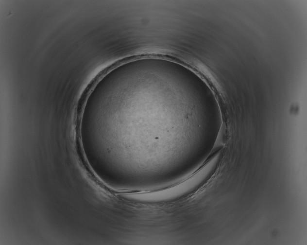 X0000096641124200802121103