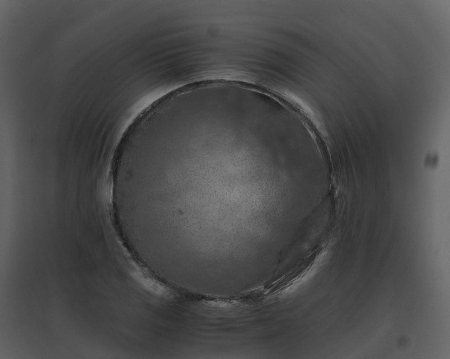 X0000096641125200802121103