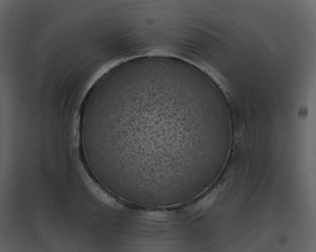 X0000096641126200802121103