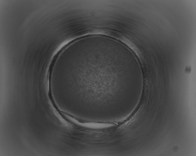 X0000096641127200802121103