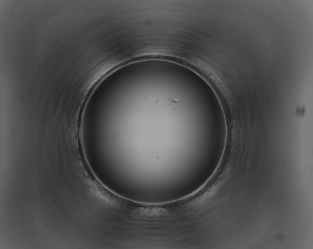 X0000096641129200802121104