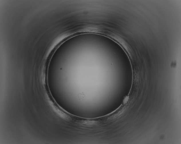 X0000096641131200802121104