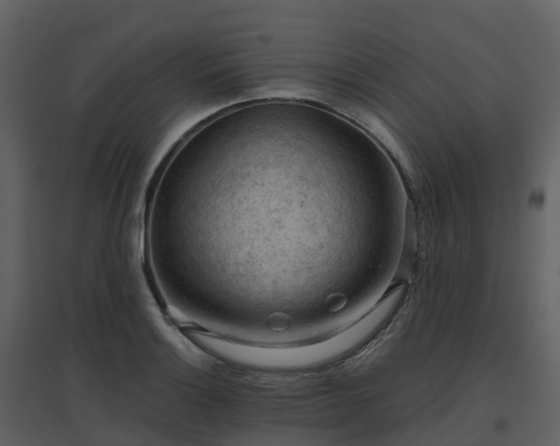X0000096641132200802121104