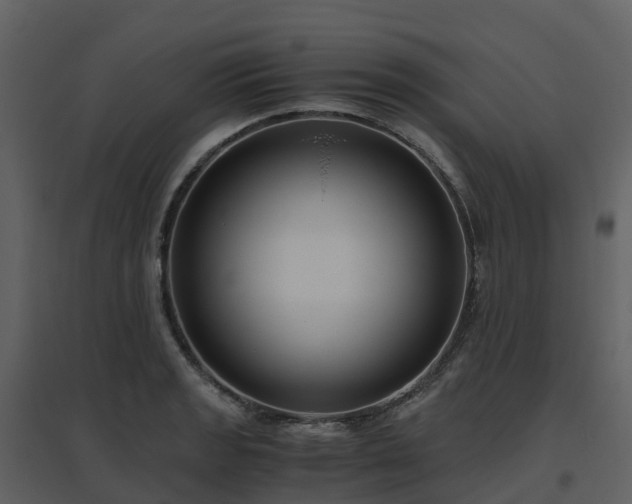 X0000096641133200802121104