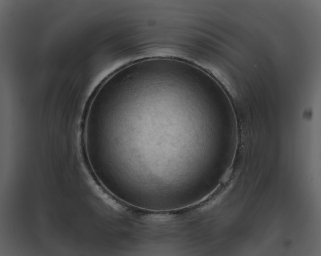X0000096641134200802121104