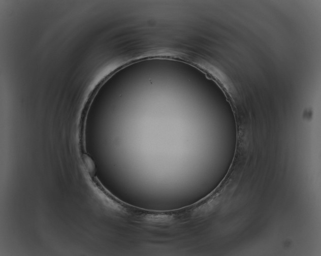 X0000096641135200802121104
