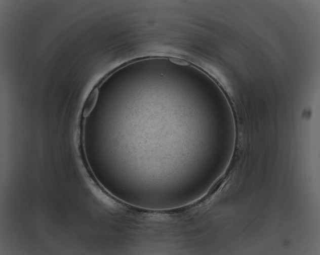 X0000096641136200802121104