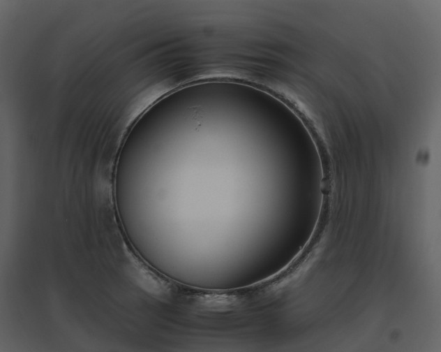X0000096641137200802121104