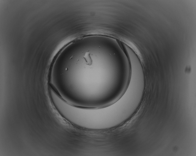 X0000096641138200802121104