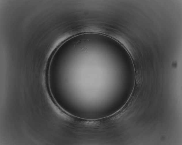 X0000096641139200802121104