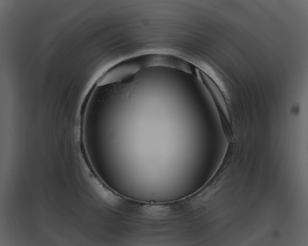 X0000096641140200802121104