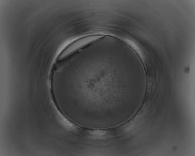 X0000096641141200802121104