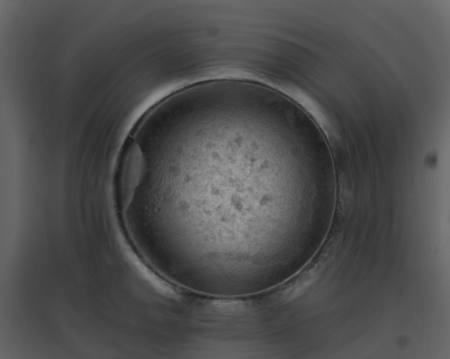 X0000096641142200802121104