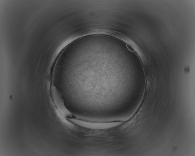 X0000096641143200802121104