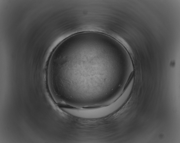 X0000096641144200802121104