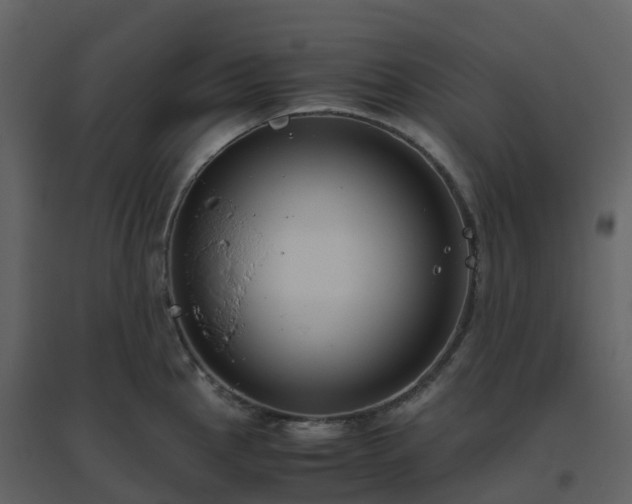 X0000096641145200802121104