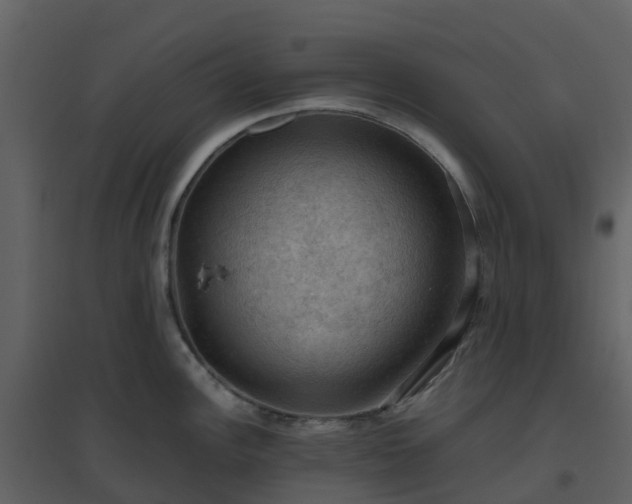 X0000096641148200802121104