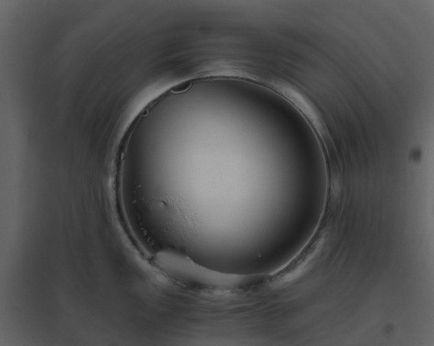 X0000096641149200802121104