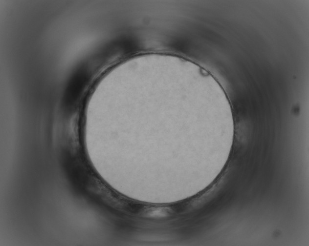 X0000096641150200802121104