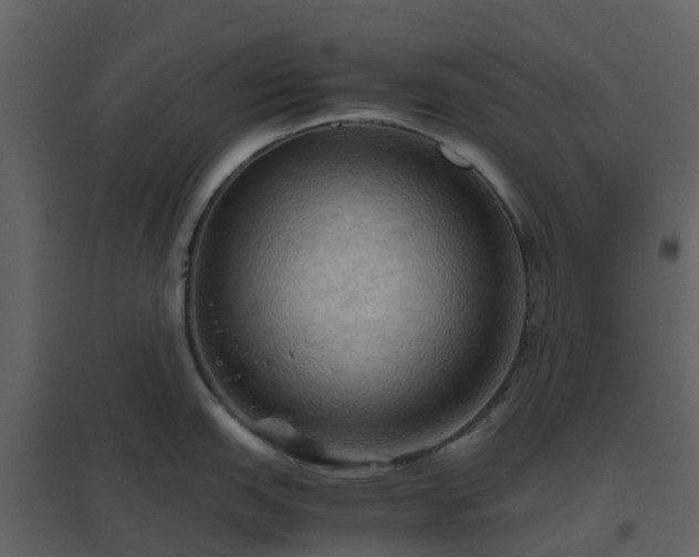X0000096641151200802121104