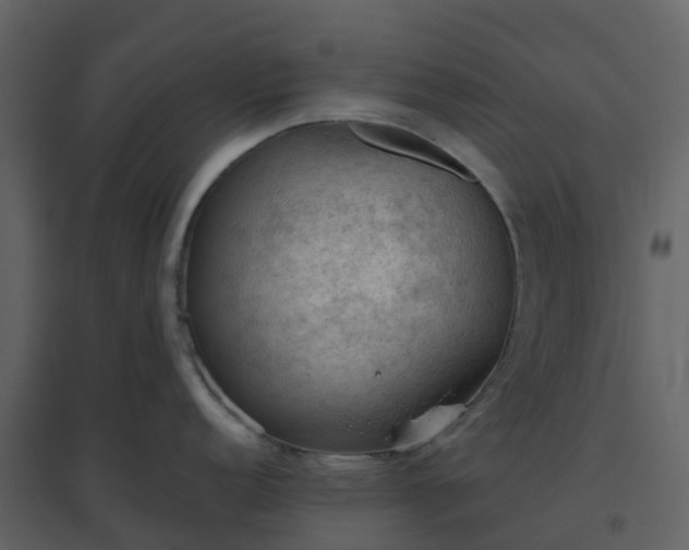 X0000096641152200802121104