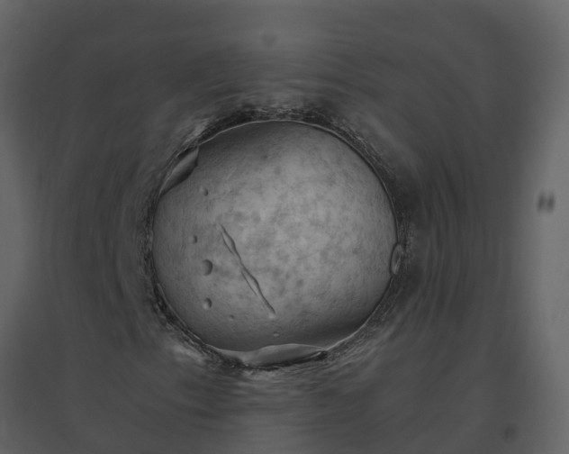 X0000096641153200802121103