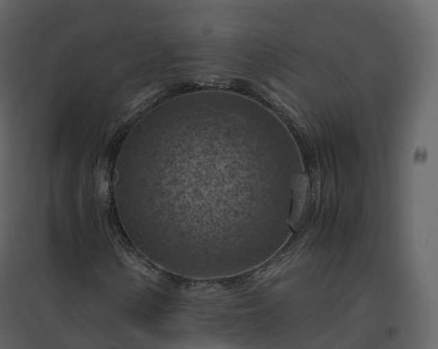 X0000096641154200802121103