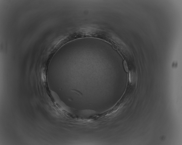 X0000096641155200802121103