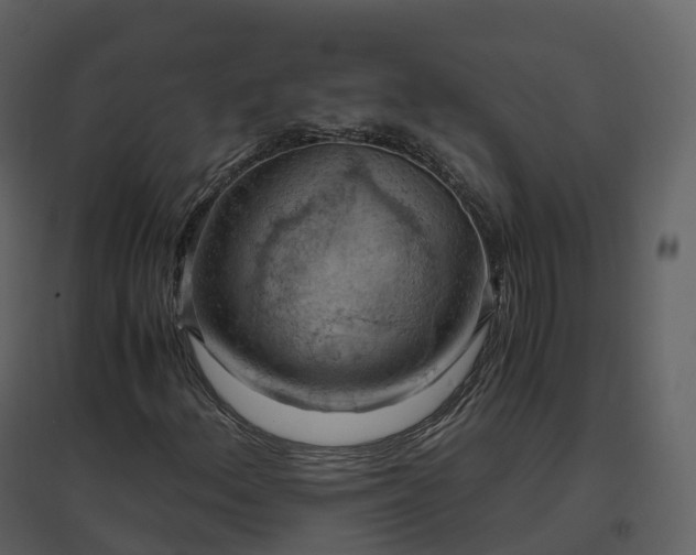 X0000096641156200802121103