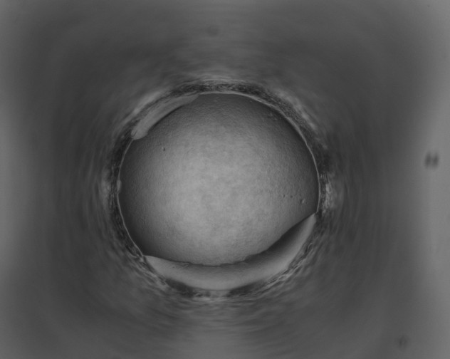 X0000096641157200802121103