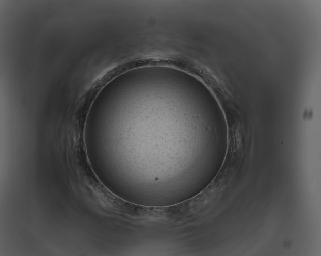 X0000096641158200802121103