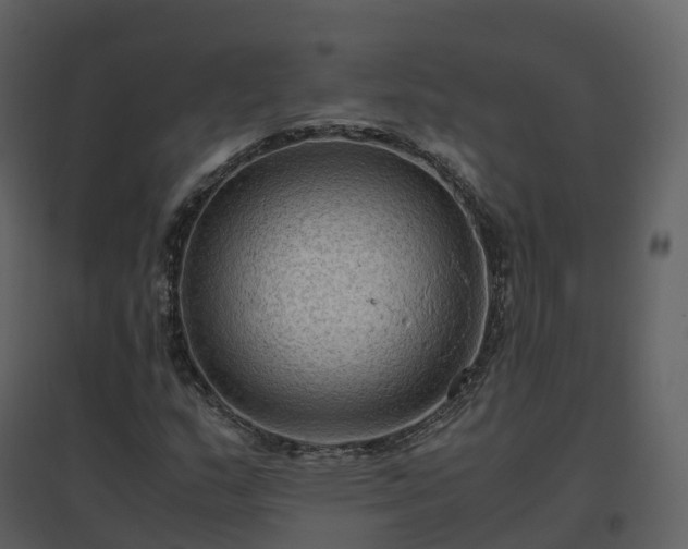 X0000096641159200802121103