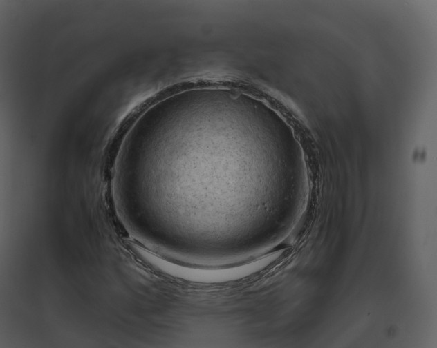 X0000096641160200802121103