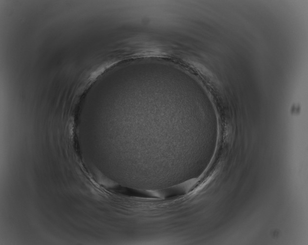 X0000096641161200802121103